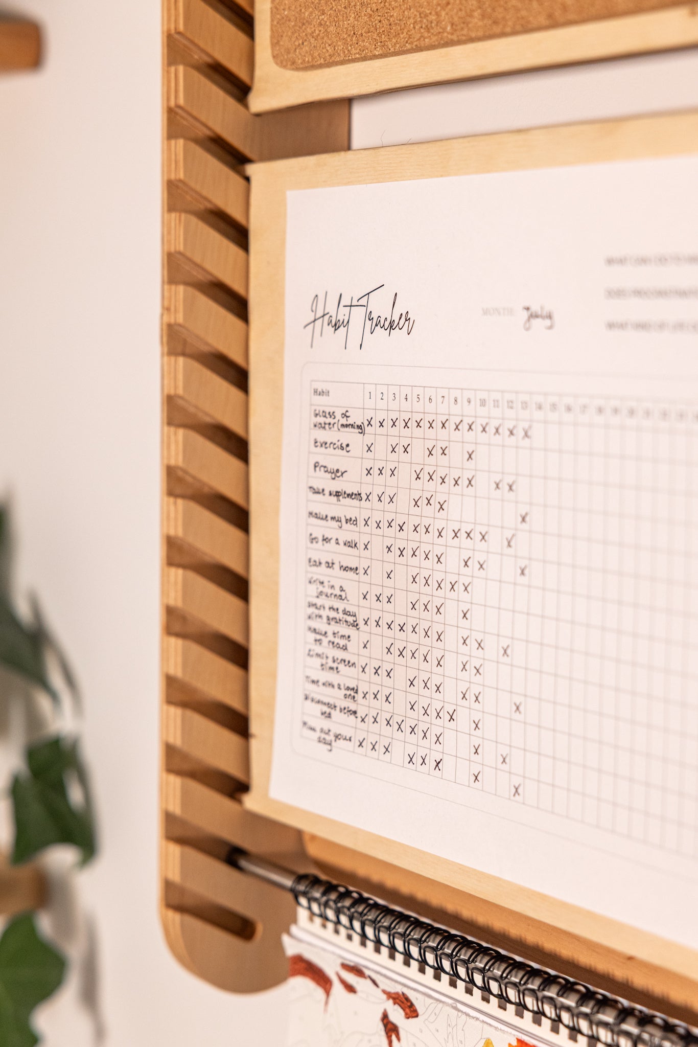 Large Life Organiser - Preorder
